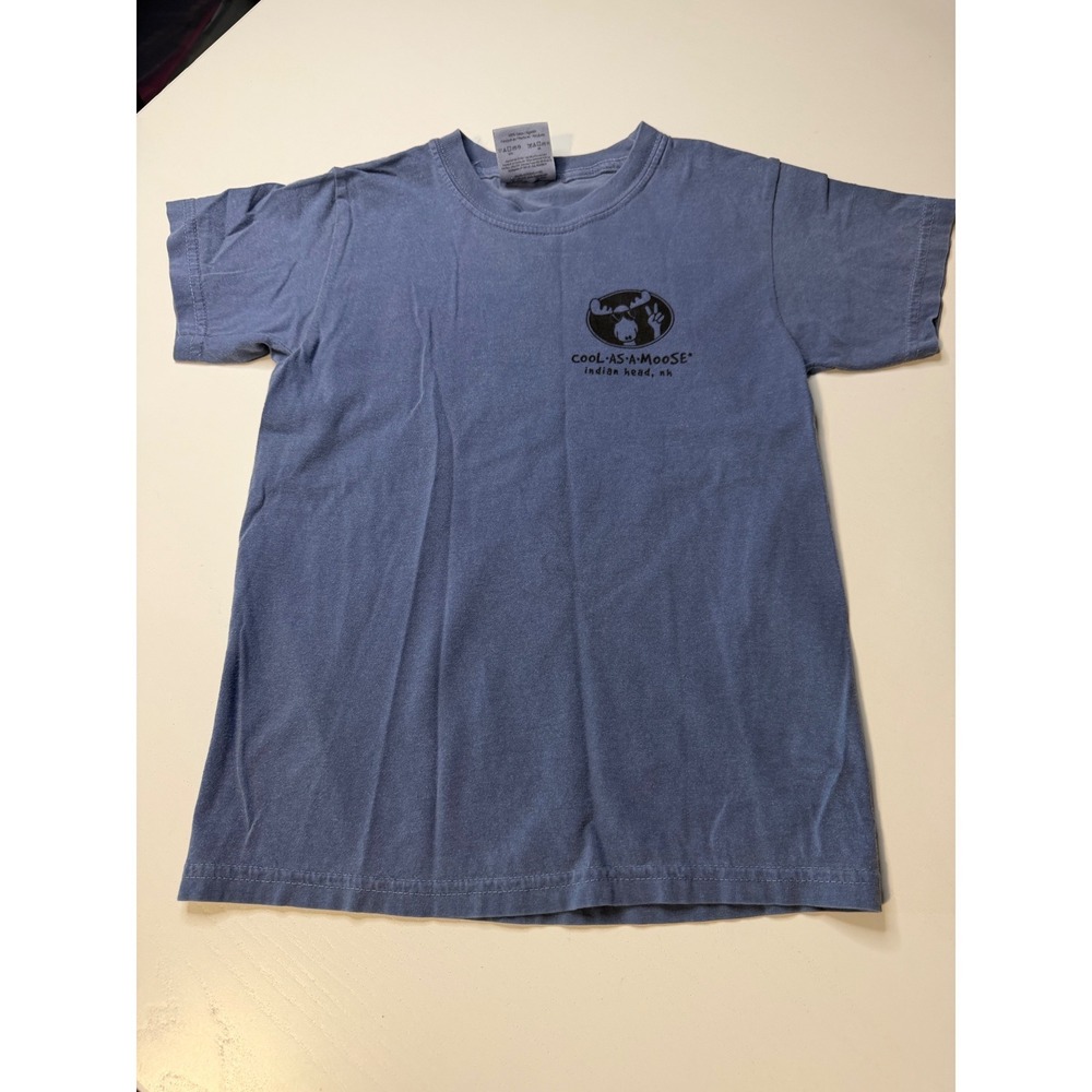 Comfort Colors Cool As A Moose Indian Head NH Blue Graphic T-Shirt Youth Small